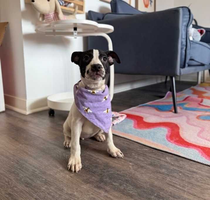 Photo of Yuna Adorable