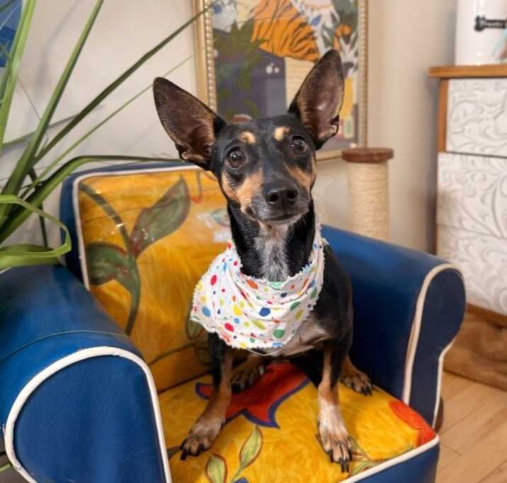 Photo of Pebbles Leslie