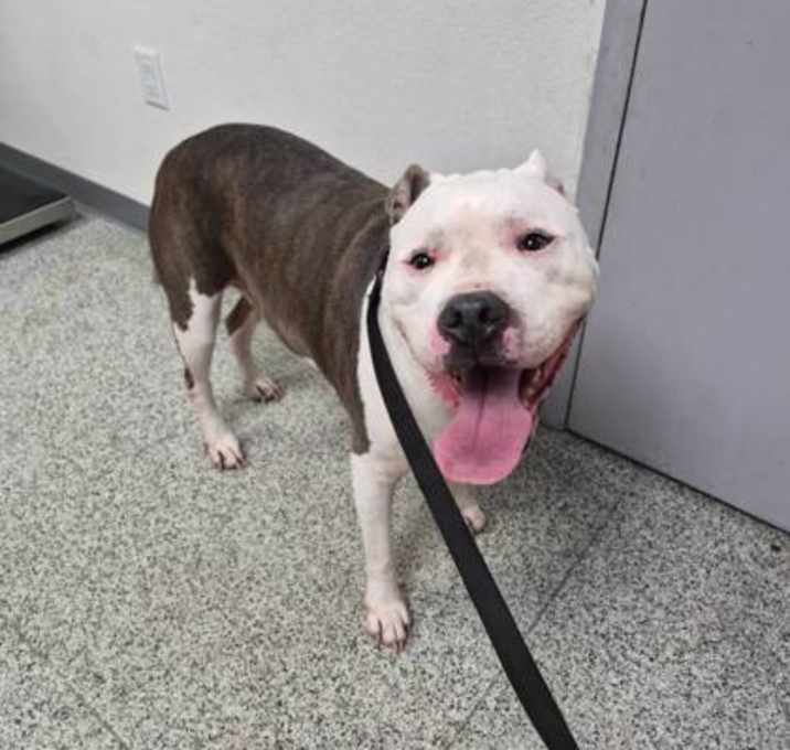 Photo of Chance Bigheart