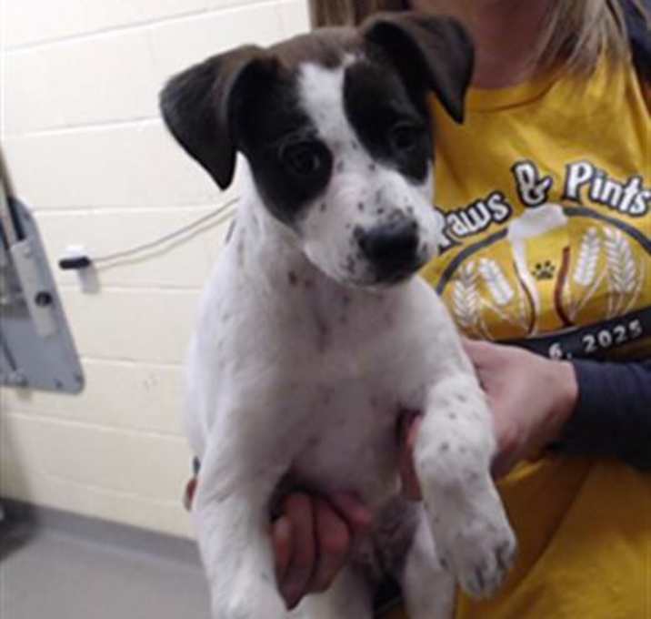 Photo of BROOKYLN BRIDGE