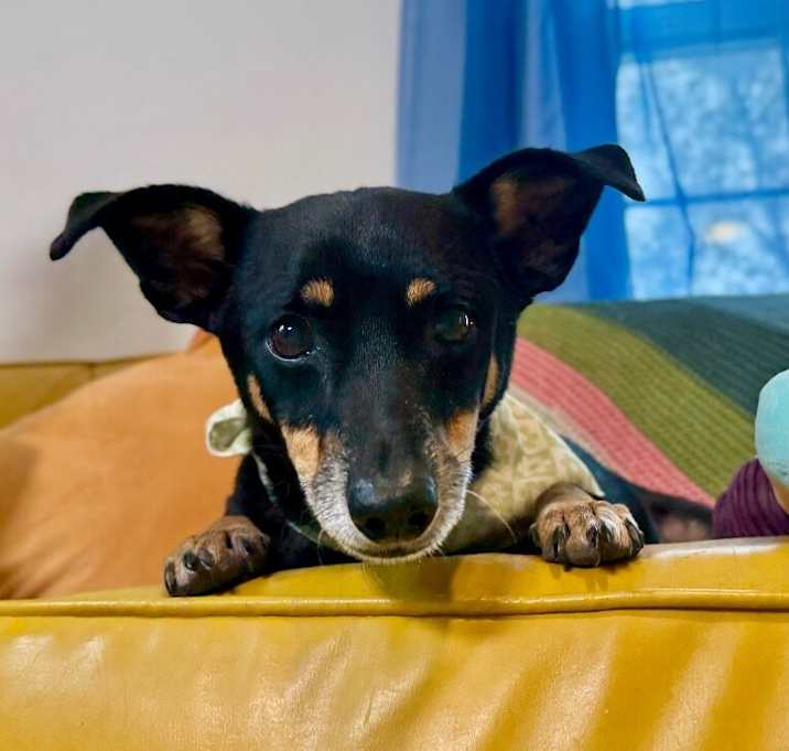 Photo of Floyd Daniel