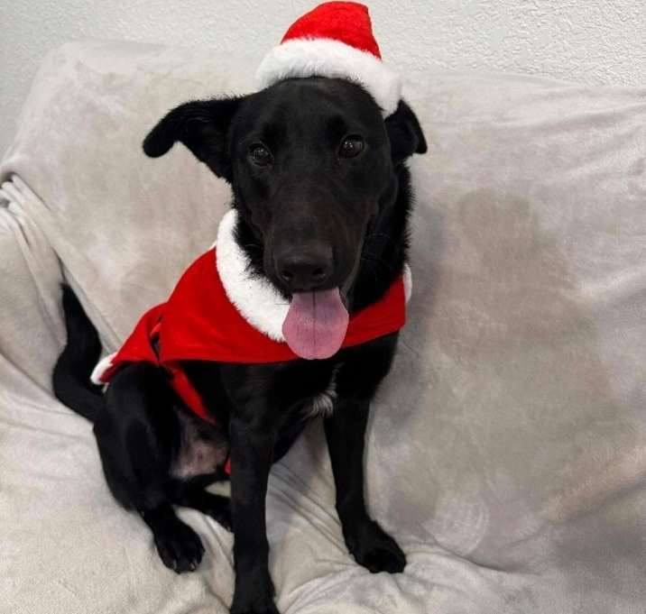 Photo of Happy Boy Makes A Happy Home