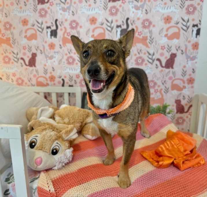 Photo of Tippy Happy Girl