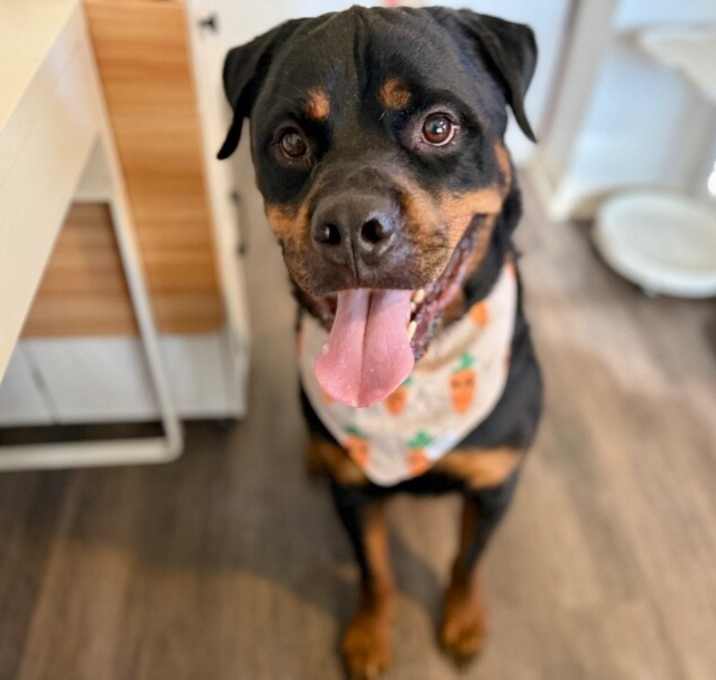 Photo of Raja Beefcake and Prayer