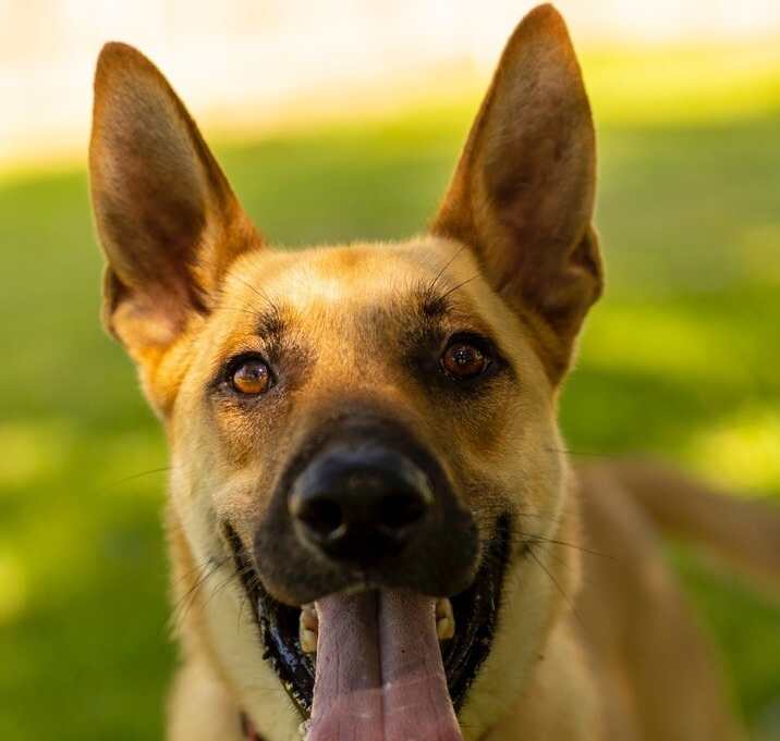 Photo of Calhoun English