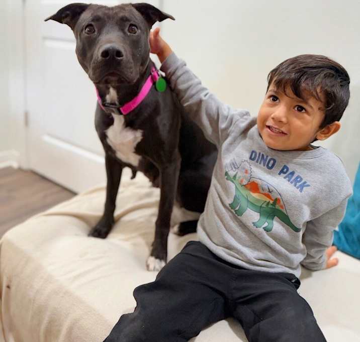 Photo of Iris Doll the Animal Lover