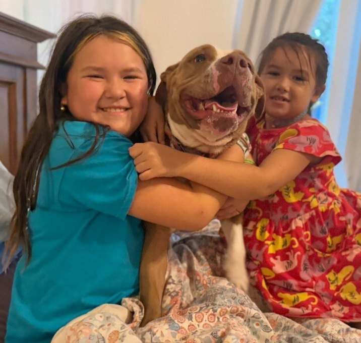 Photo of Brooklyn Baby the Sweetest Girl Born to be a family dog