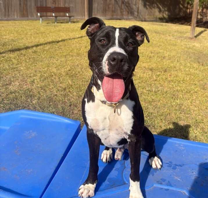 Photo of Buddy ol' pal