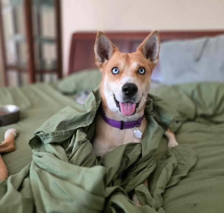 Photo of Darling Delilah so Dainty