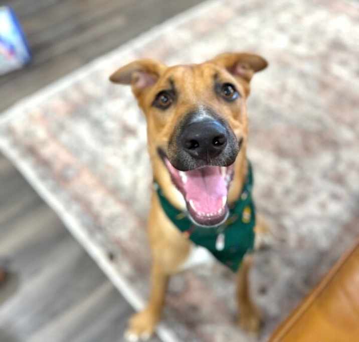 Photo of Dennis the Kissing Machine