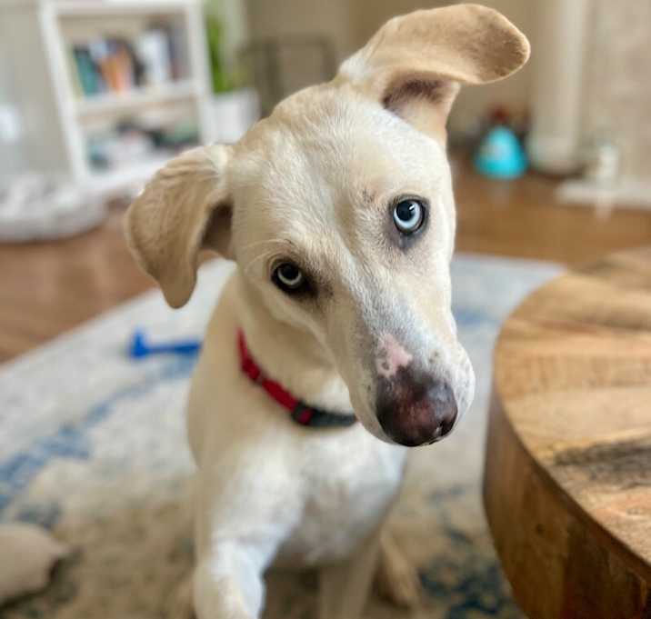 Photo of Rory right on time tv watching family girl