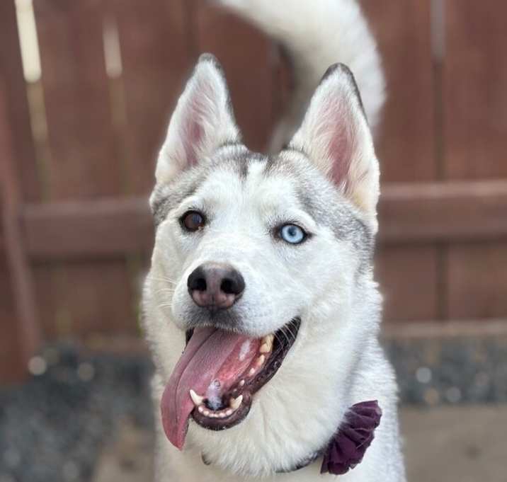 Photo of Madame Cleo is your future