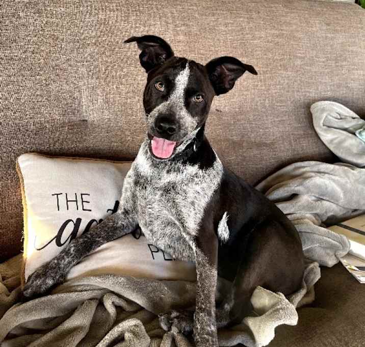 Photo of Ranger Kraft