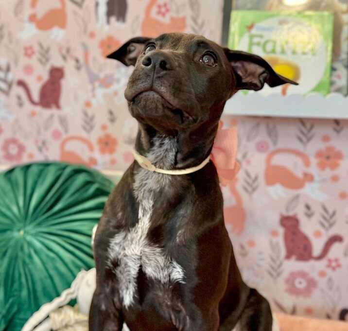 Photo of Bella Charriton