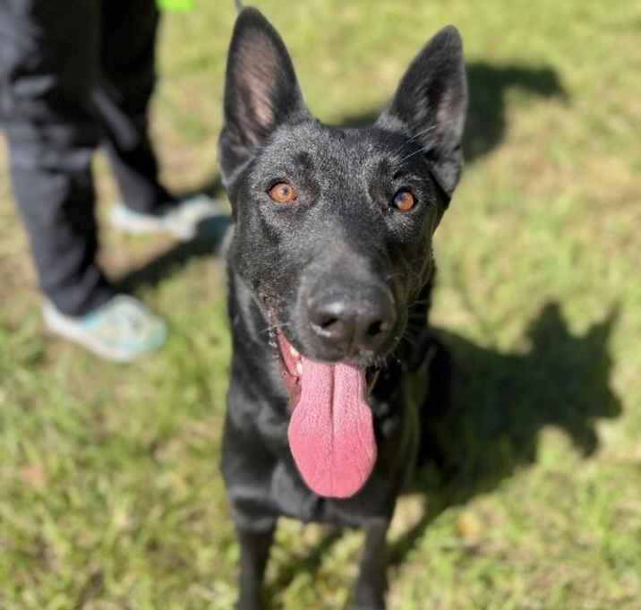 Photo of Annie Sweets