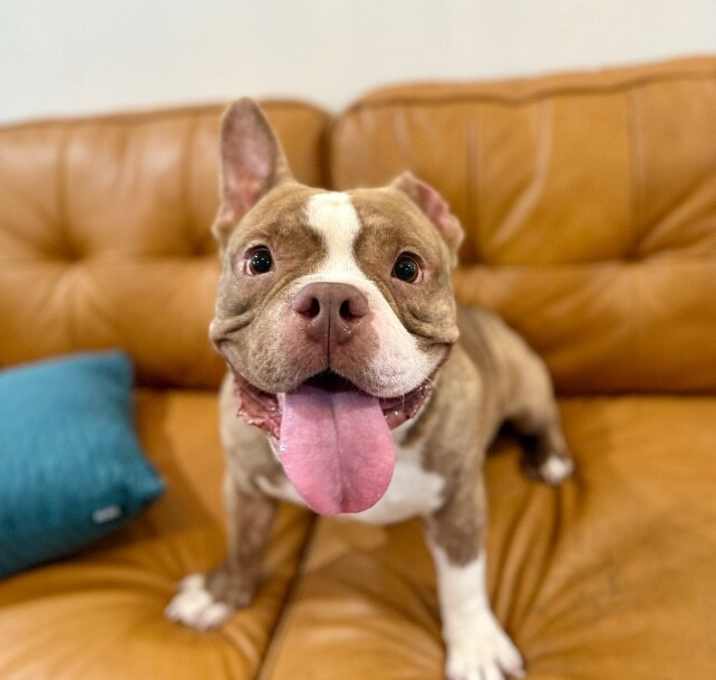 Photo of Vinnie Van Gogh a True Work of Art