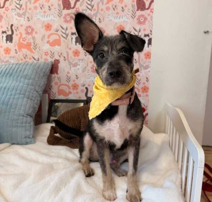 Photo of Oliver Dalton