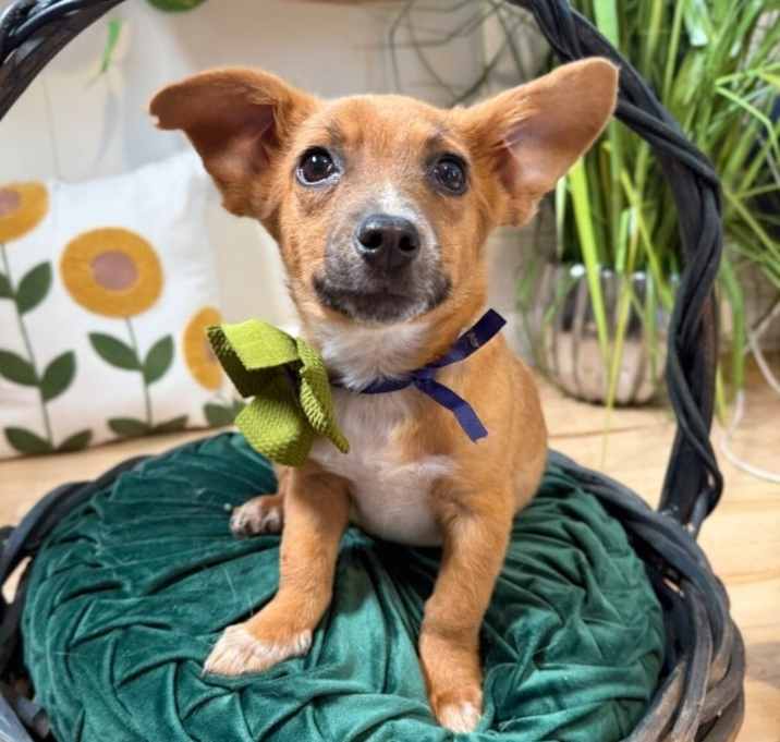 Photo of Charlie Gilstrap