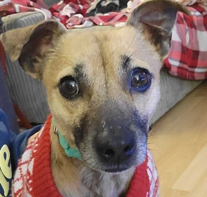 Photo of Felix/Poncho