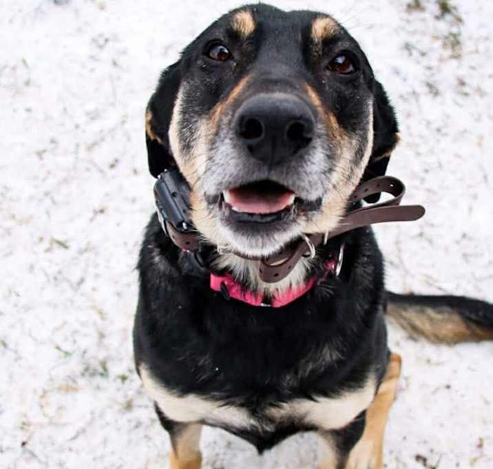 Photo of Diamond/Sabrina (25-407)