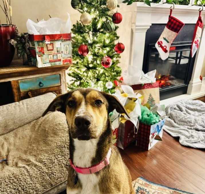 Photo of Rudy Gobert