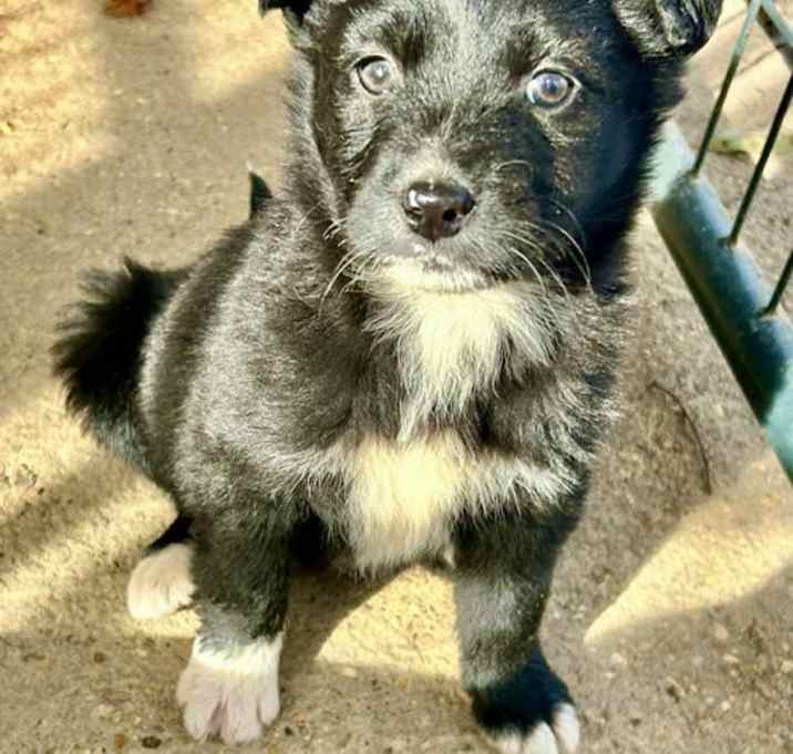 Photo of Tilly Therrien