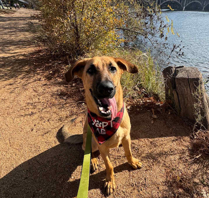 Photo of Primadonna Girl