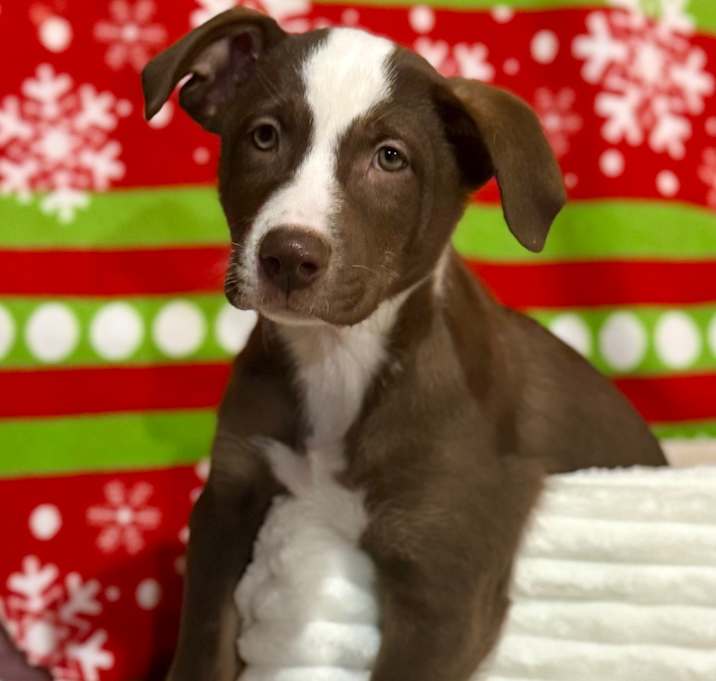 Photo of Ball-Drop Benny