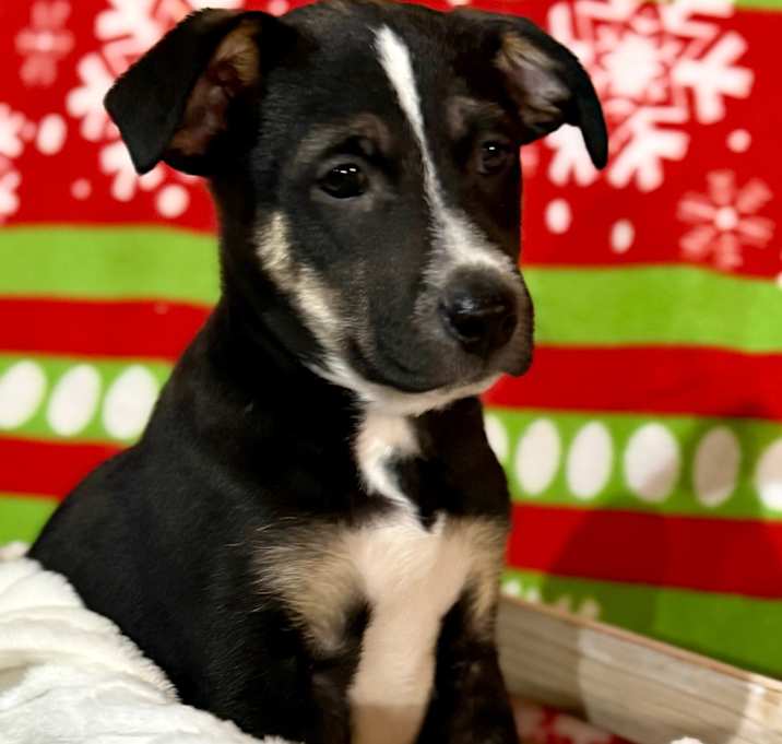 Photo of Rex O'Lution