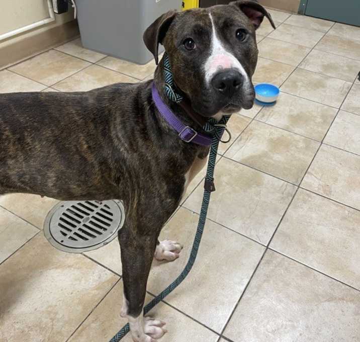 Photo of Claire (mcas)