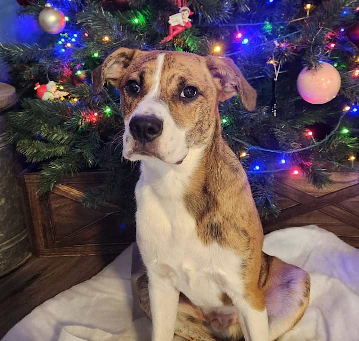 Photo of Noah JuM/AL