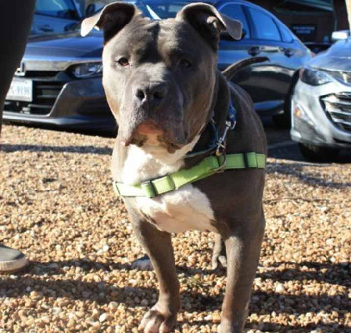 Photo of Rollie Pollie