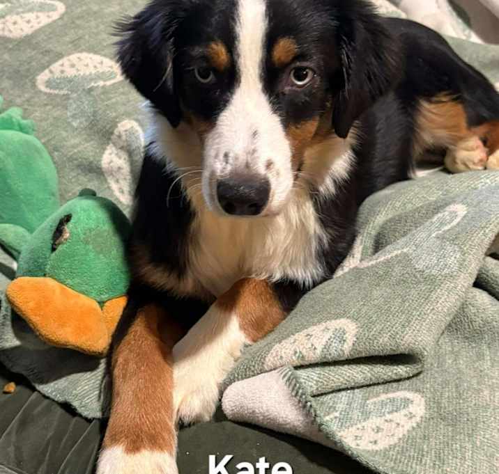 Photo of KATIE