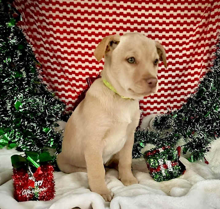 Photo of December Gentry