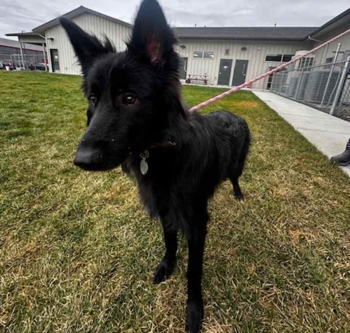 Photo of Luna (real name)