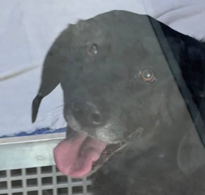 Photo of Jake (real name)