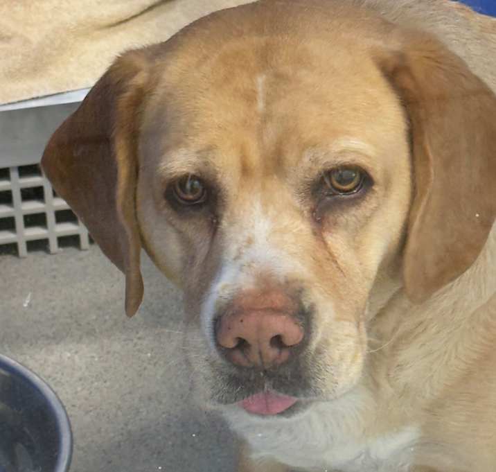 Photo of Kaya (real name)