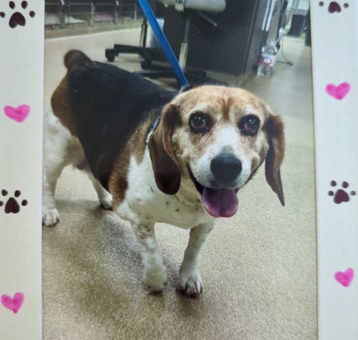 Photo of Belle Starr