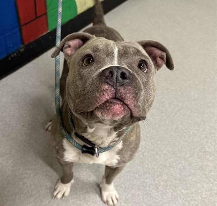 Photo of MAMBA JAMBA