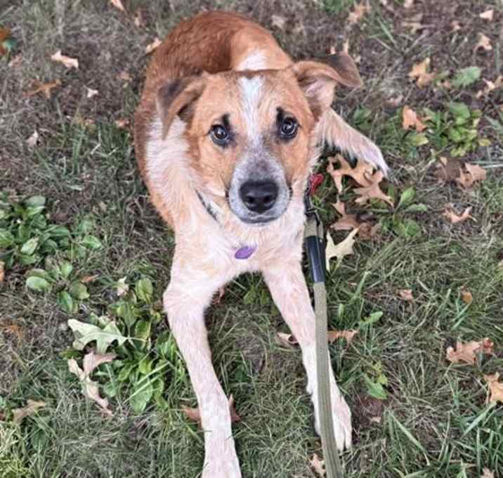 Photo of IT'S FALL Y'ALL