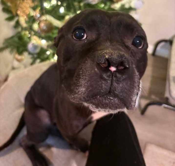 Photo of Barb Holland