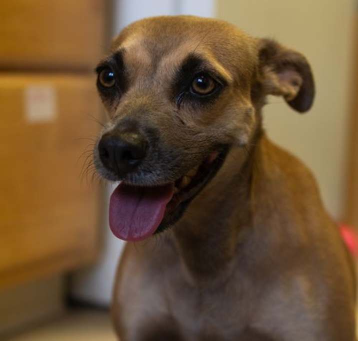 Photo of kamila - 2 Years ( Avail 12/26)