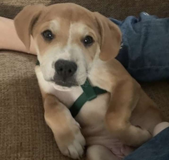 Photo of Ian Newberry