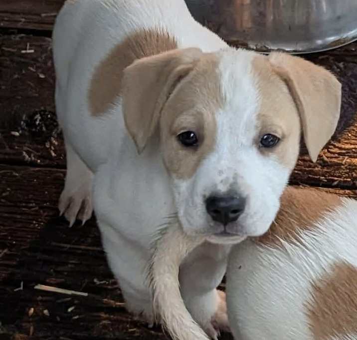 Photo of Itsa Newberry