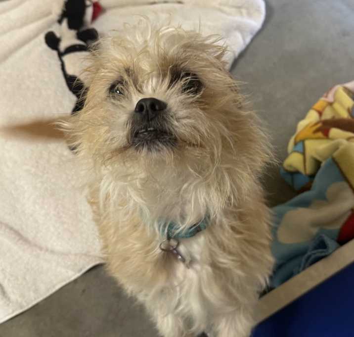 Photo of Scrumptious