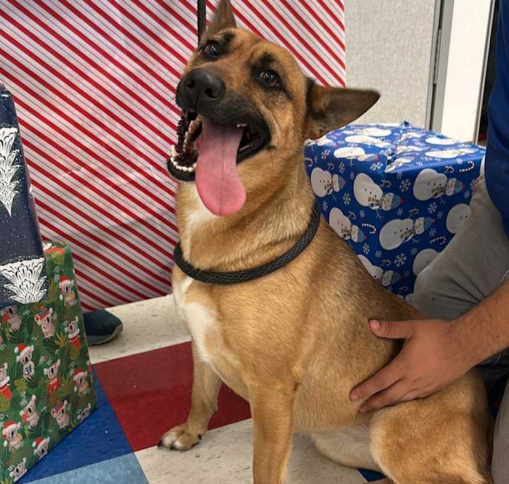 Photo of Lexi(Janine)