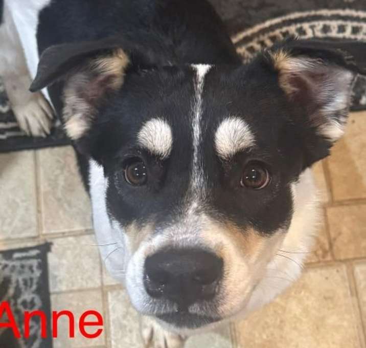 Photo of Anne Bonny Roscoe