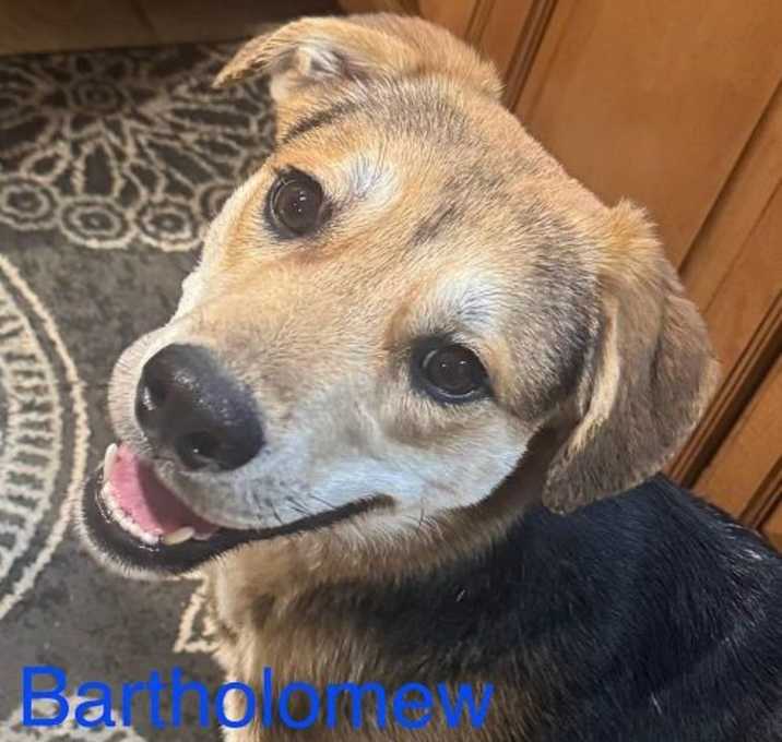 Photo of Bartholomew Roberts Roscoe