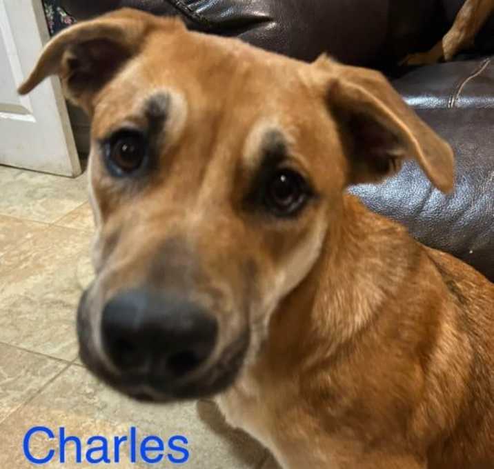 Photo of Charles Vane Roscoe