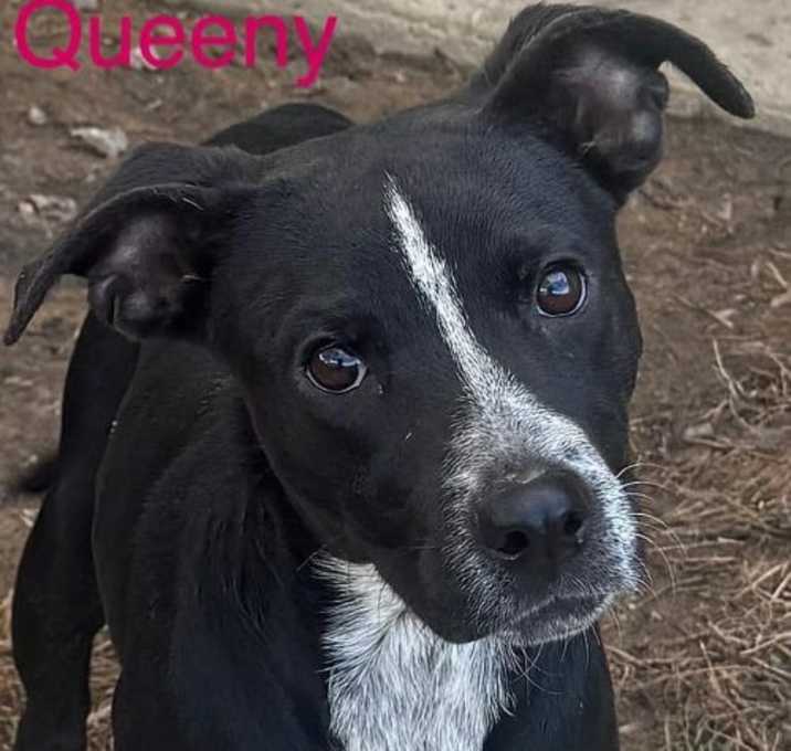 Photo of Queeny Roscoe